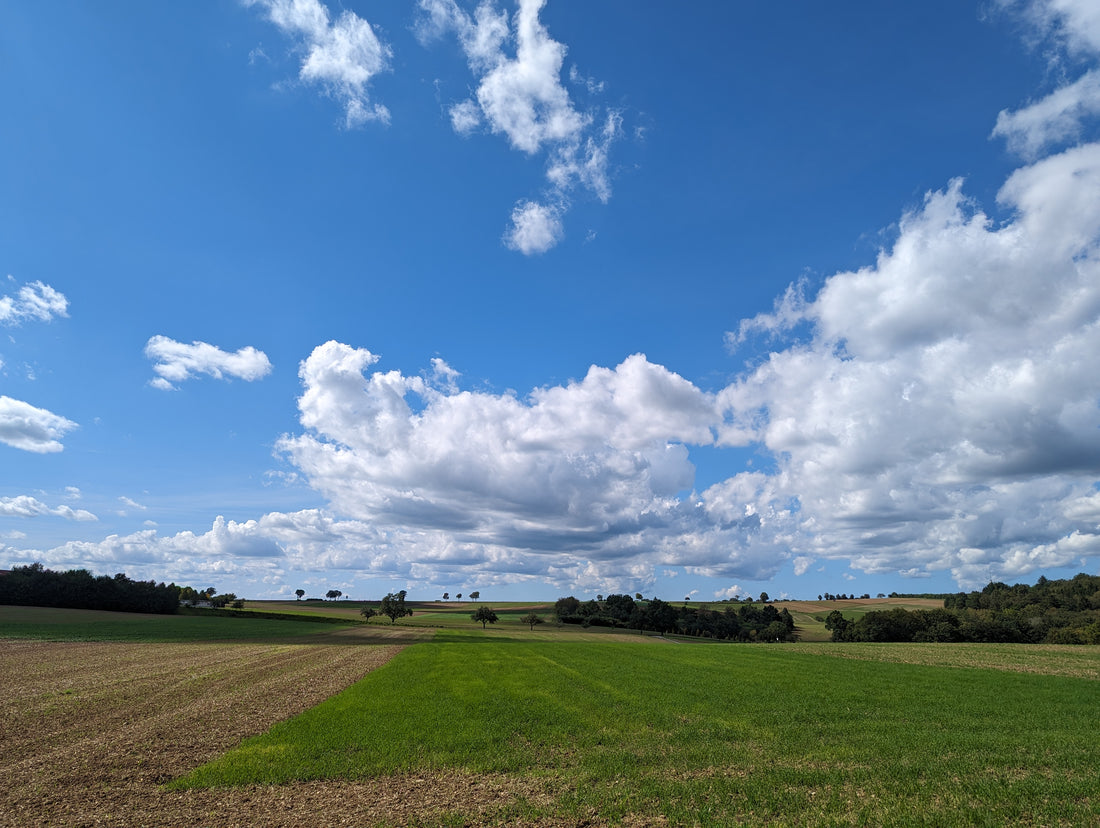 Natur - Unsere Verbindung zum Universum