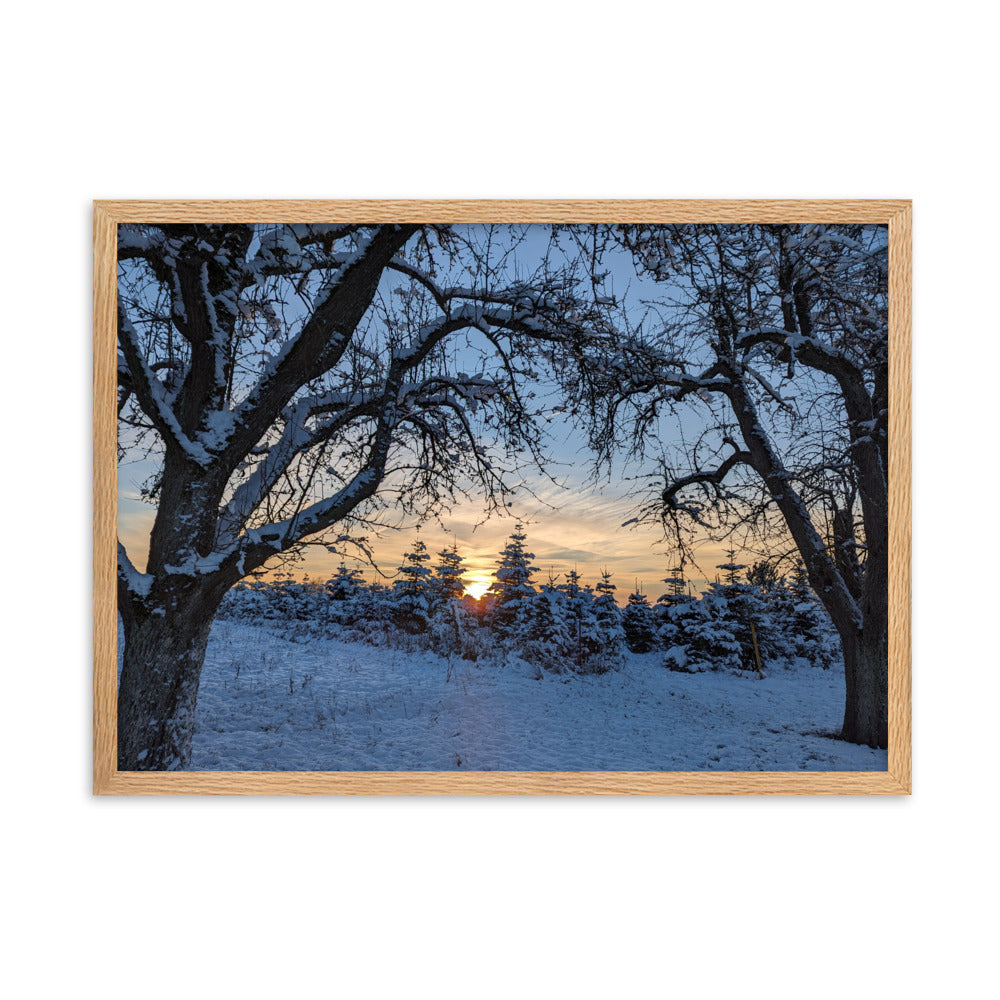 Gerahmtes Poster auf mattem Papier (50x70cm) 'Sonnenuntergang im Winter'