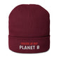 Gerippte Bio-Beanie 'There's no planet B'