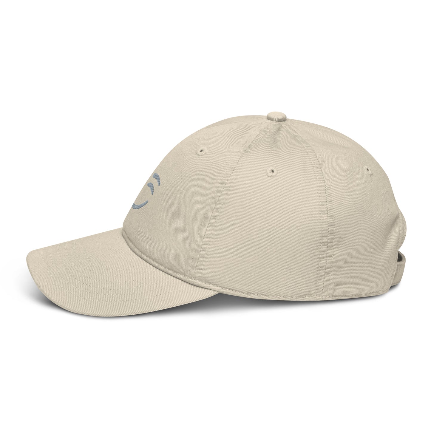 Bio Baseball Cap | Econscious EC7000