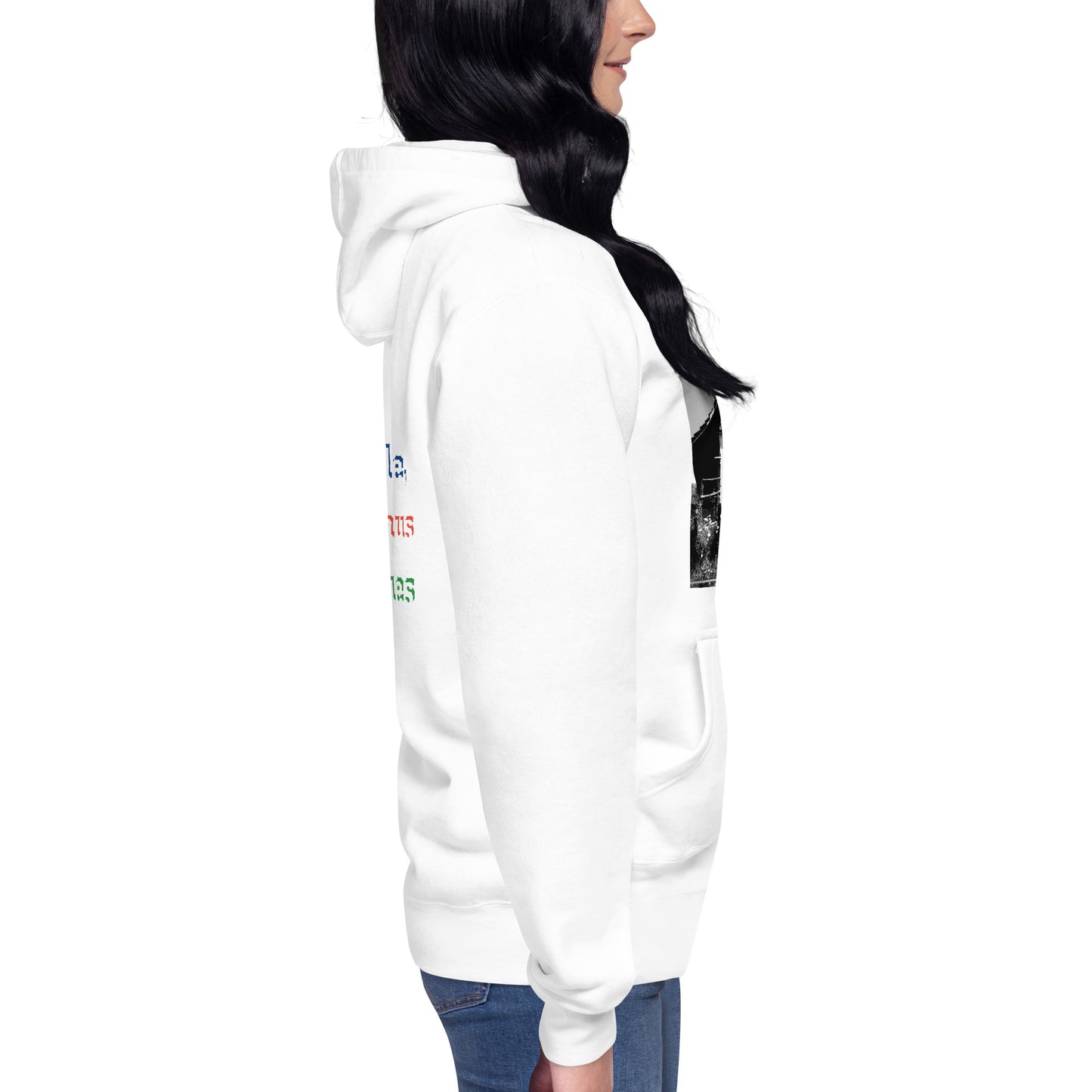 Unisex Premium-Hoodie | Cotton Heritage M2580 "Ich recycle"